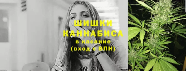 соль ск Богородицк