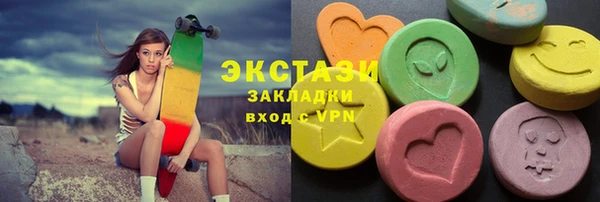 соль ск Богородицк