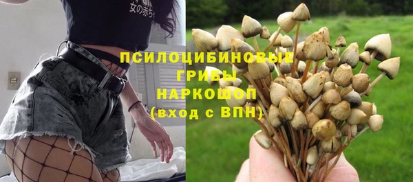 Альфа ПВП Богородск